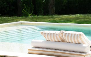 location - Ariel - Private Pool with Lounge Chair  location - Ariel - Image of a private pool with a lounge chair and cushions, surrounded by a lush garden.