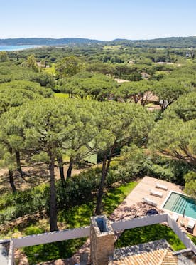 location - Serena - Panoramic view of nature from a terrace  location - Serena - This image shows a stunning view of a natural landscape with trees and a pool. Perfect for those seeking tranquility and natural beauty.